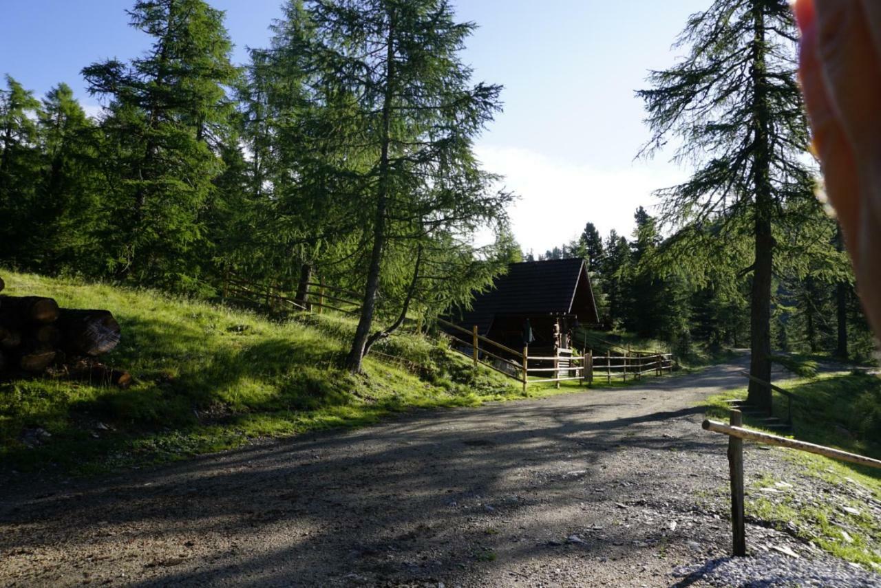 Bergheim Schmidt, Almhuetten Im Wald Appartments An Der Piste Alpine Huts In Forrest Appartments Near Slope Turracher Hohe Exterior foto