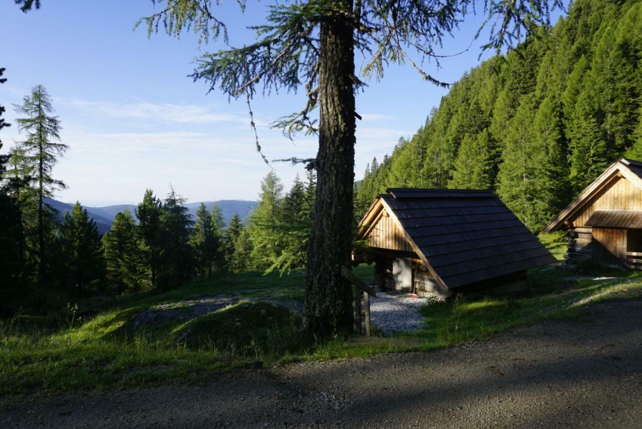 Bergheim Schmidt, Almhuetten Im Wald Appartments An Der Piste Alpine Huts In Forrest Appartments Near Slope Turracher Hohe Exterior foto